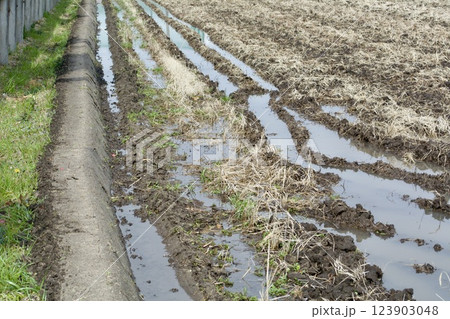 田んぼ 土作り 123903048