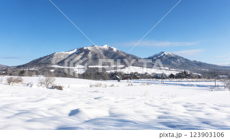 スノーシュートレッキングのイメージ　蒜山高原 123903106