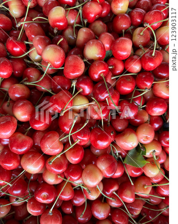 lots of cherry fruits for food as background lots of cherry fruits for food as background 123903117