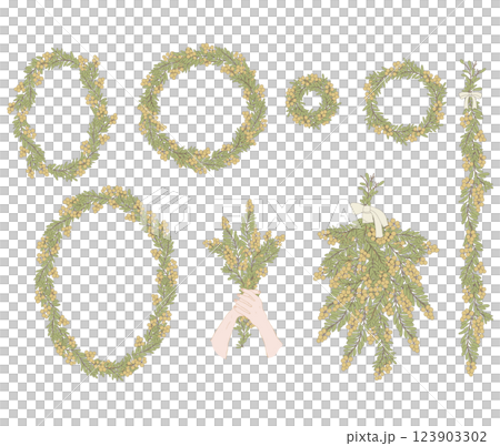 Mimosa wreath / Mimosa swag 123903302