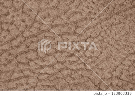Rough brown leather texture with deep cracks and aged patterns. Rustic and vintage background for classic fashion and decor Rough brown leather texture with deep cracks and aged patterns. Rustic and vintage background for classic fashion and decor 123903339