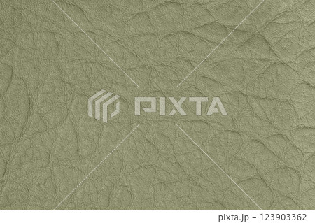 Green leather texture with fine wrinkles and natural grain. Unique and stylish background for luxury and sustainable fashion designs Green leather texture with fine wrinkles and natural grain. Unique and stylish background for luxury and sustainable fashion designs 123903362