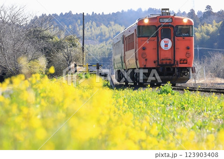 小湊鐵道「菜の花咲く上総川間駅を発車するキハ40」 小湊鐵道「菜の花咲く上総川間駅を発車するキハ40」 123903408