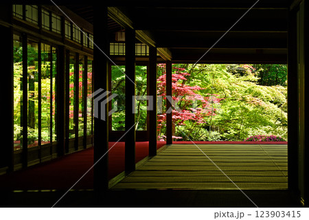 新緑を映した南禅寺　天授庵 123903415