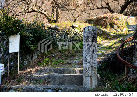 雲雀山登山口 【和歌山県有田市糸我】 雲雀山登山口 【和歌山県有田市糸我】 123903454
