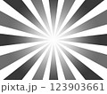 黒色と灰色と白色の集中線　背景素材 123903661
