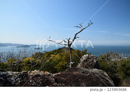 明恵上人西白上遺跡から湯浅湾を望む　【和歌山県湯浅町】 123903686