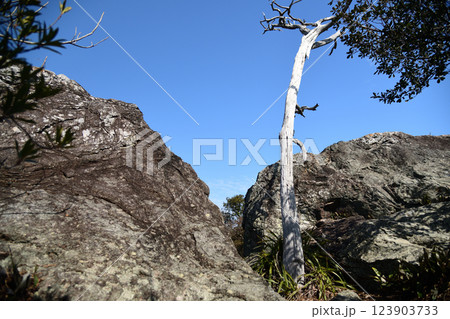 明恵上人西白上遺跡(岩場)　　【和歌山県湯浅町】 123903733