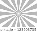 灰色と白色の集中線　背景素材 123903735