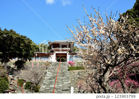 和歌浦天満宮と梅 【和歌山県和歌山市】 和歌浦天満宮と梅 【和歌山県和歌山市】 123903799