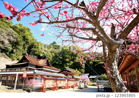 和歌浦天満宮と梅　【和歌山県和歌山市】 123903805