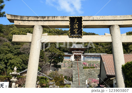 和歌浦天満宮と梅 【和歌山県和歌山市】 和歌浦天満宮と梅 【和歌山県和歌山市】 123903807