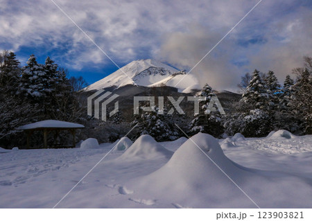 雪の富士山 雪の富士山 123903821