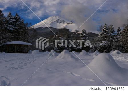 雪の富士山 雪の富士山 123903822