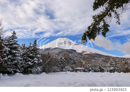 雪の富士山 雪の富士山 123903925