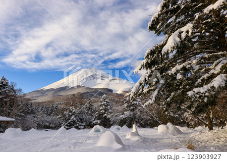 雪の富士山 123903927
