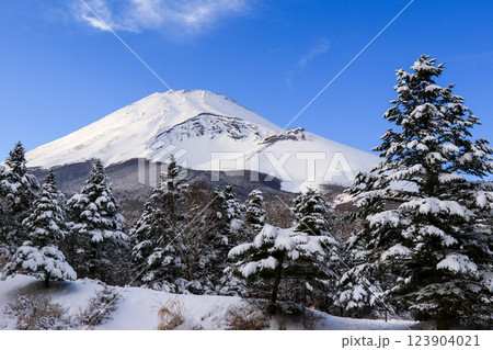 雪の富士山 123904021
