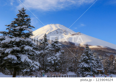 雪の富士山 123904024
