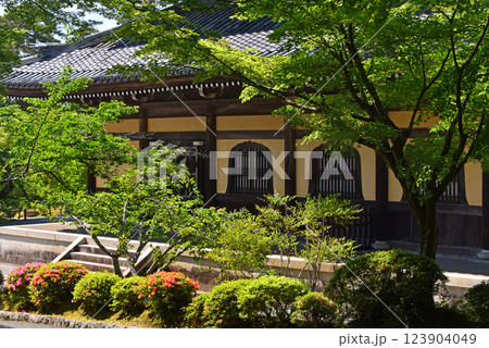 新緑に包まれる南禅寺 法堂 新緑に包まれる南禅寺 法堂 123904049