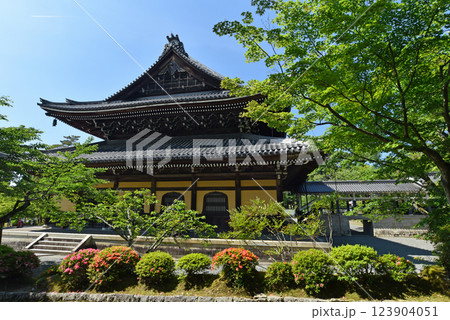 新緑に包まれる南禅寺 法堂 新緑に包まれる南禅寺 法堂 123904051
