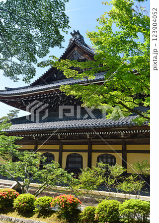 新緑に包まれる南禅寺　法堂 123904052