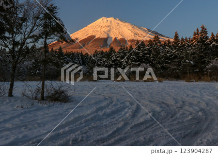 雪の富士山 雪の富士山 123904287
