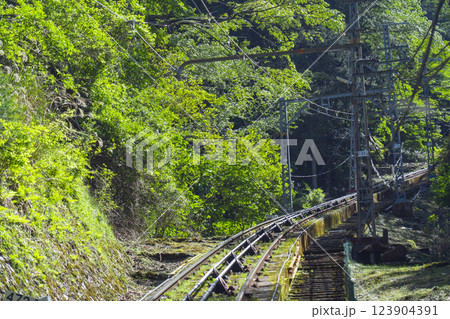 高野山ケーブルカー 車窓からの展望 高野山ケーブルカー 車窓からの展望 123904391