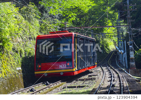 分岐点で行き交う高野山ケーブルカー　車窓からの展望 123904394