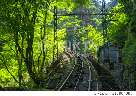 高野山ケーブルカー　車窓からの展望 123904399