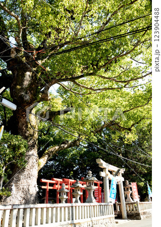 糸我稲荷神社　【和歌山県有田市糸我】 123904488