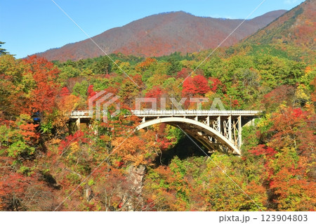 【宮城県】快晴の鳴子峡の紅葉 123904803