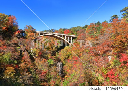 【宮城県】快晴の鳴子峡の紅葉 【宮城県】快晴の鳴子峡の紅葉 123904804