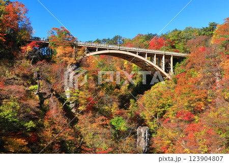 【宮城県】快晴の鳴子峡の紅葉 123904807