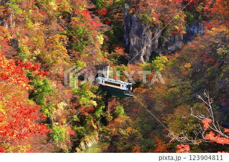 【宮城県】鳴子峡を渡る紅葉列車 123904811