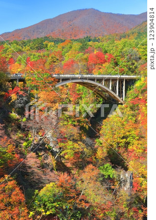 【宮城県】快晴の鳴子峡の紅葉 123904814