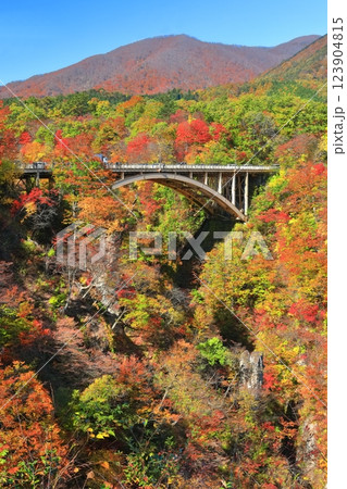 【宮城県】快晴の鳴子峡の紅葉 123904815
