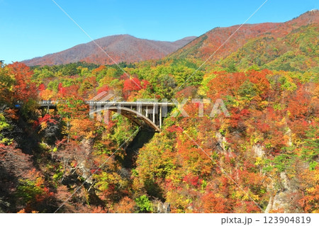 【宮城県】快晴の鳴子峡の紅葉 123904819