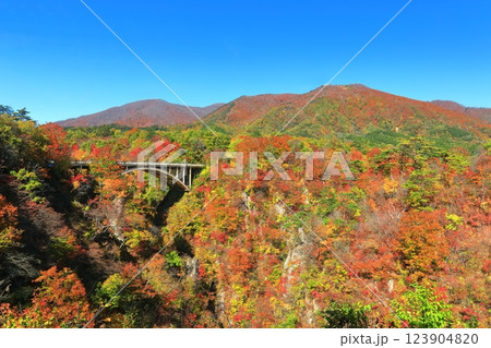 【宮城県】快晴の鳴子峡の紅葉 123904820