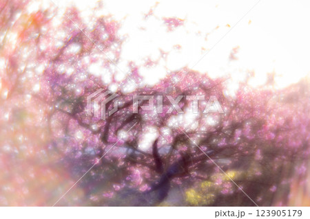 桜 さくら サクラ 123905179