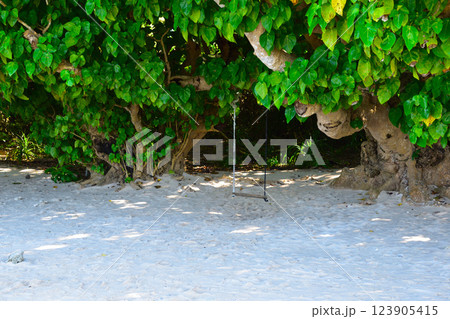 竹富島　カイジ浜　ブランコ 123905415