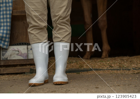 involved with horses 123905423