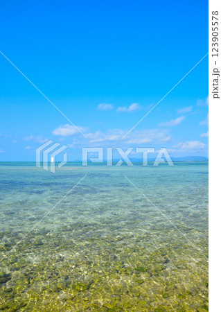 竹富島　カイジ浜 123905578