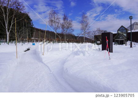 雪に埋もれた冬のいわみざわ公園 123905705