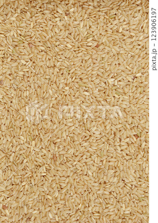 Brown rice grains Brown rice grains 123906197