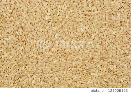 Brown rice grains Brown rice grains 123906198