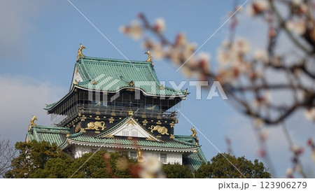 春を告げる梅の花と城 123906279
