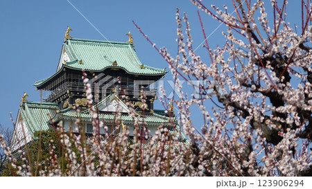 春を告げる梅の花と城 123906294