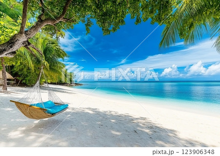 Beautiful beach with palm trees and moody sky. Summer vacation travel holiday background concept. Maldives paradise beach. Luxury travel summer holiday background concept. Beautiful beach with palm trees and moody sky. Summer vacation travel holiday background concept. Maldives paradise beach. Luxury travel summer holiday background concept. 123906348