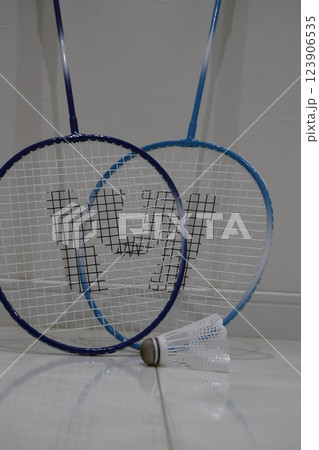 ダブルス〜羽を追い羽ばたく二人〜 123906535