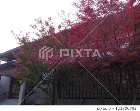 秋の古都・京の都・京都 123906702